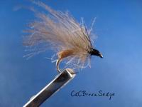 CdC Brown Sedge